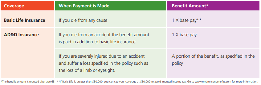 Basic Life Coverage Info.png